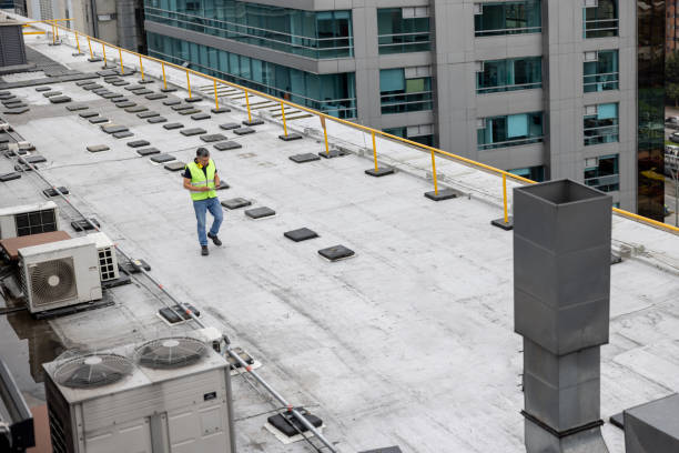 Best Emergency Roof Repair Services  in Warren, OH