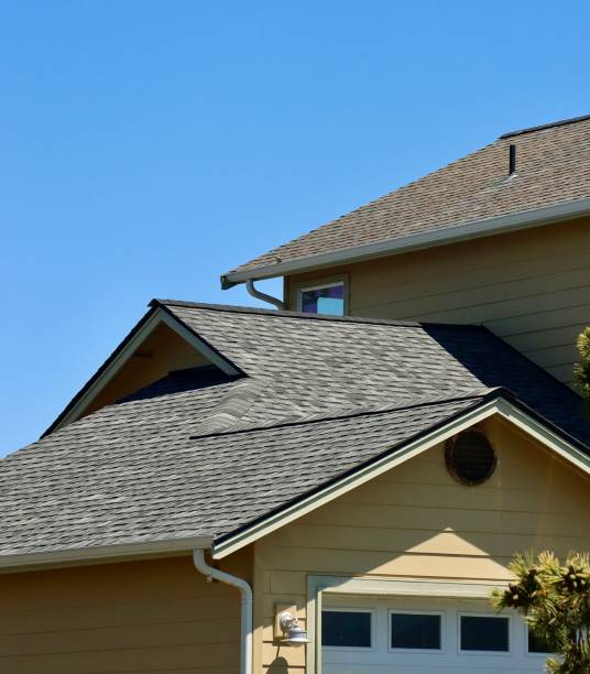 Best Roof Maintenance and Cleaning  in Warren, OH